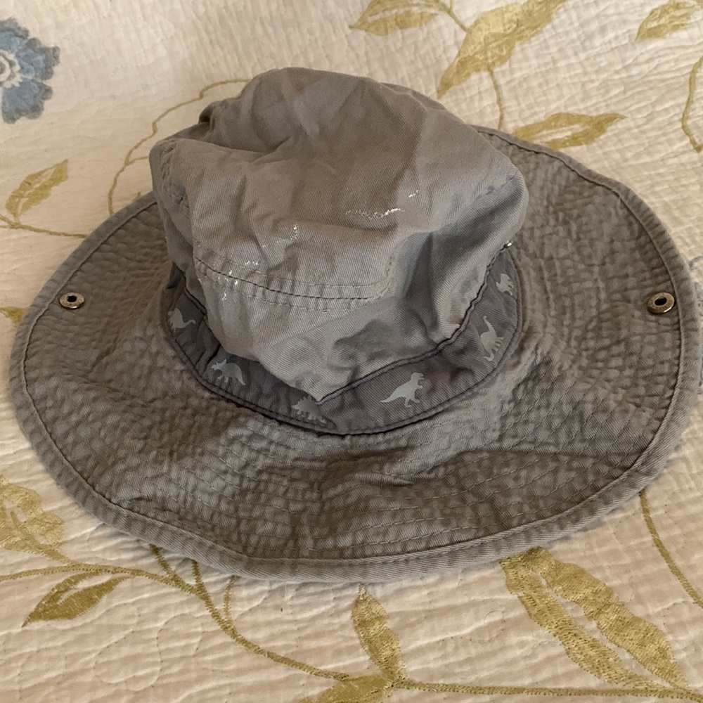 Dinosaur bucket hat